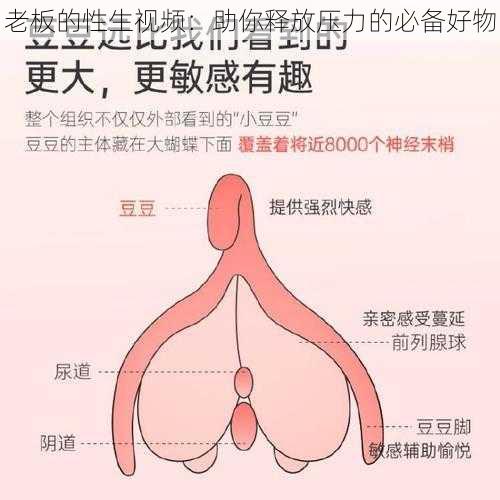 老板的性生视频：助你释放压力的必备好物