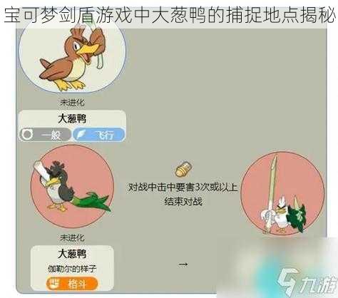 宝可梦剑盾游戏中大葱鸭的捕捉地点揭秘