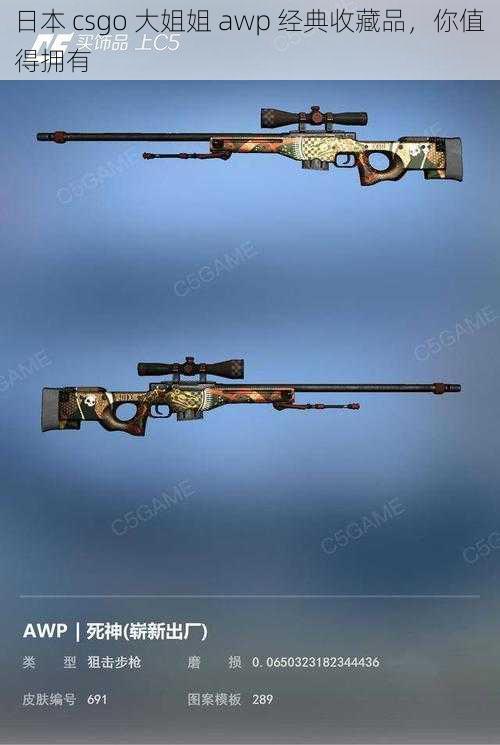 日本 csgo 大姐姐 awp 经典收藏品，你值得拥有