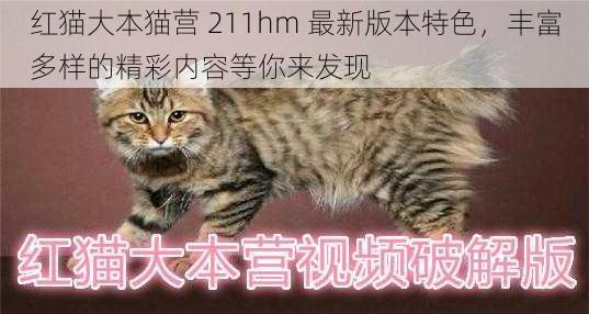 红猫大本猫营 211hm 最新版本特色，丰富多样的精彩内容等你来发现